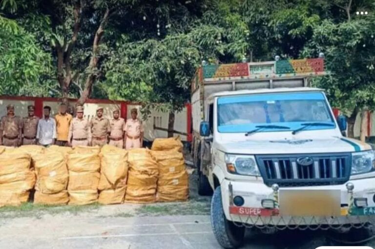 यूपी पुलिस को 134 बोर में मिले 20,000 से ज्यादा चाइनीस सेक्स टॉयज, 2 करोड़ से अधिक है कीमत