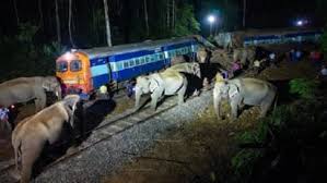 असम में हाथियों के झुंड से टकराई राजधानी एक्सप्रेस, 8 हाथियों की मौत; 5 डिब्बे पटरी से उतरे
