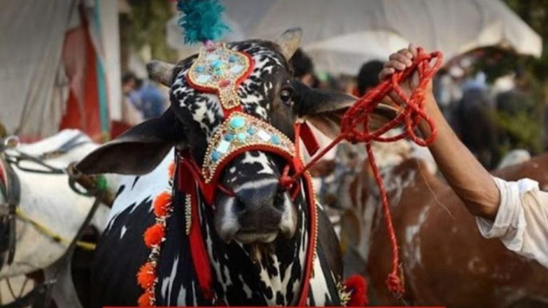 23 जानेवारीपासून जिल्हास्तरीय कृषि, पशुसंवर्धन व मिनी सरस वर्धीनी महोत्सवाचे आयोजन